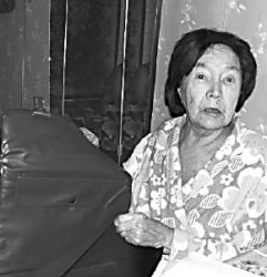 Железная партледи