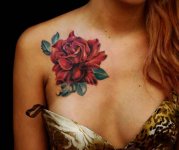 Мое тело - мое дело 