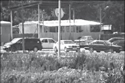 Степной дозор