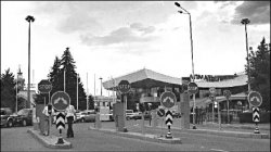 Нуржамал ДОНГЕШЕВА, предприниматель: На родине меня унизили, как собаку