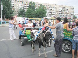 Вот и на нашей улице праздник!