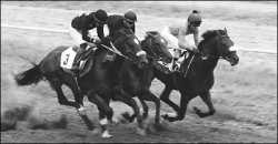 Ветер в гриву