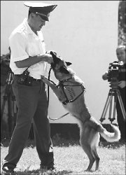 Чем пахнут деньги