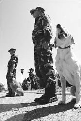 Чем пахнут деньги