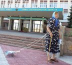 С тазиком за правдой 