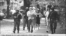 Уголовная доля