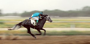 Цена победы 