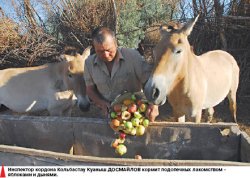 Дети Пржевальского