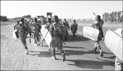 Степные орлы