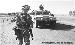 Степные орлы