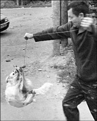 Дохлое дело