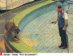 Попробуй избить тигра - он тебя сожрет