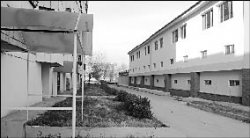 АИСТ - птица гордая…