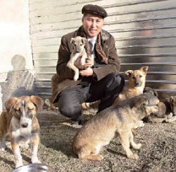 Собачий рай