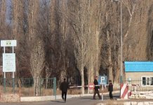 Алиби от кума 