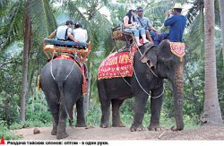 Продавцы воздуха