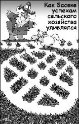Мудрой бывает позиция, а поза должна быть удобной