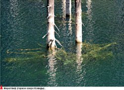 Ключ к живой воде