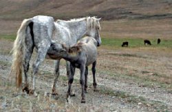 Каждый миг неповторим!