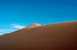 Каждый миг неповторим!