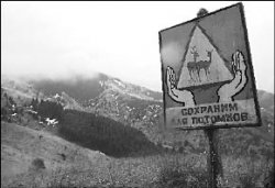 Топорно сработал