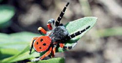 Любитель сачковать