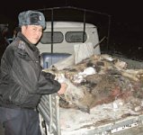 Мамлютская бойня