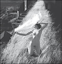 Выставка для друга