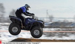 На всех четырех