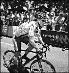 Лэнс непорочный