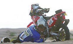 Нас не зароешь!