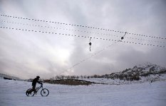 Лоси на байках