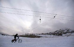 Лоси на байках