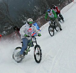 Лоси на байках