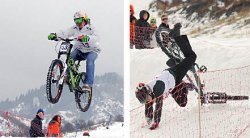 Лоси на байках