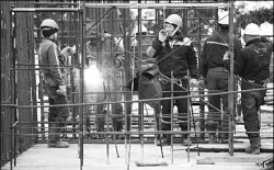 Иностранцы, дружите с законом!