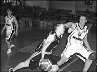 В когтях у “Тигров”