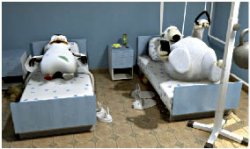 Уроки рисования 