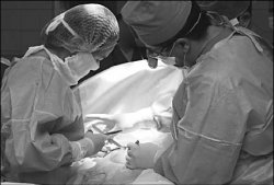 Презумпция несогласия