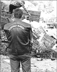 О налогах - начистоту