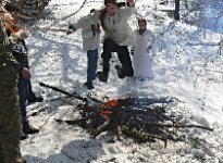 Языческая сила