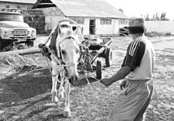 Каждая погода - благодать для чиновников нацхолдинга “КазАгро”