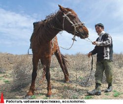 Балхашские шерифы