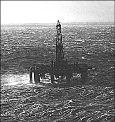 Непотопляемый бизнес