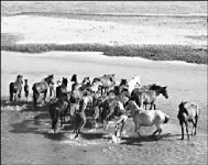 Антикризисный подход