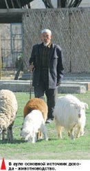 Сарбаз - гроза скотокрада