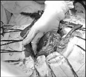 Сами с руками