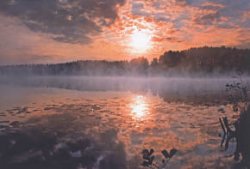 Спаси нас, Природа!