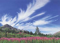 Спаси нас, Природа!