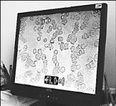 Не тревожьте свою кровь